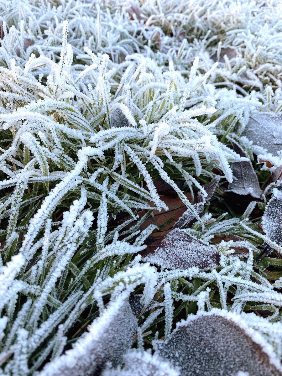 Surrounded by winters beauty ❄️