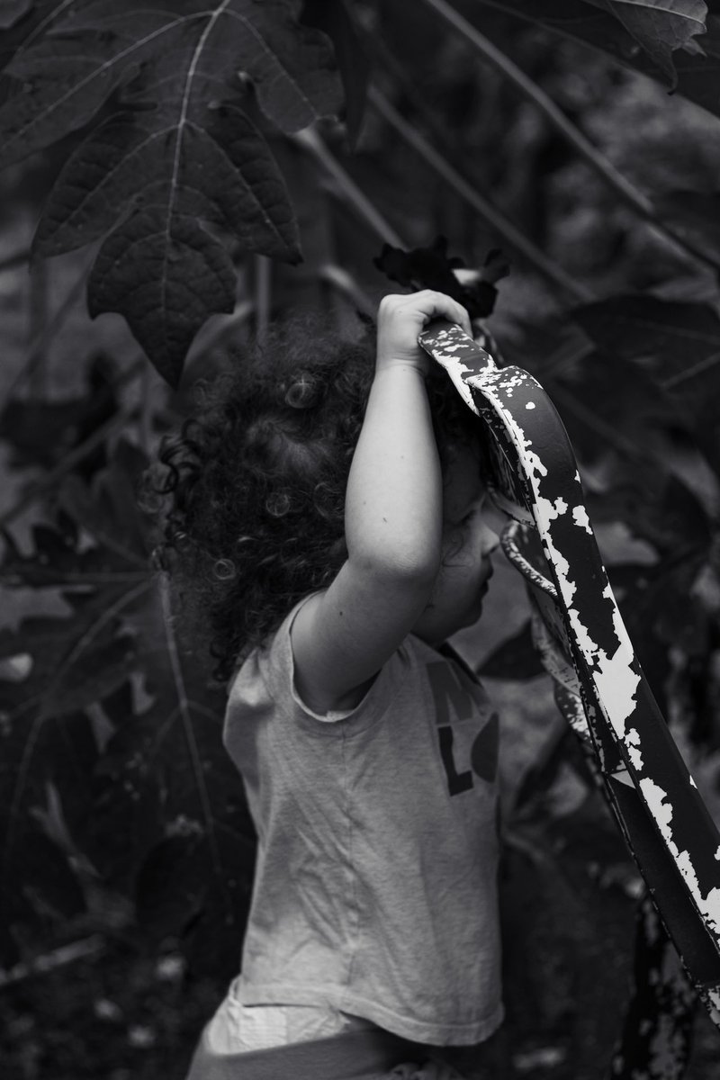 Dominique Roseberry 🌱 tweet media