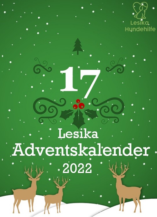 lesika_e's tweet photo. Welcher süße Welpe steckt hinter Türchen Nummer 17?

Auflösung um 10:00 Uhr🎄❤️🎄❤️

https://t.co/HBwm9rP5lZ 

#LesikaHundehilfe #Tierrettung #christmas #Adventskalender #DogsofTwittter #dog #calender #puppy #welpen #AdoptDontShop #goodfeeling #spende #Donations https://t.co/d5PPe0Vwae
