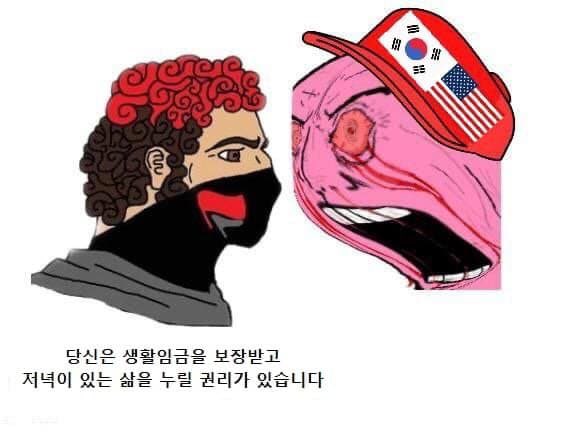 좌파우파갈등 한짤 요약