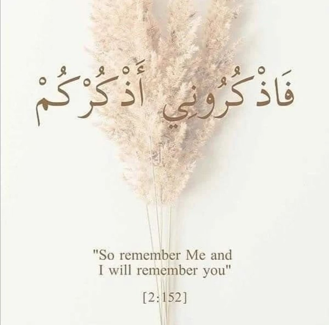 mohammedbinhu10's tweet photo. https://t.co/cYwd7zobtb