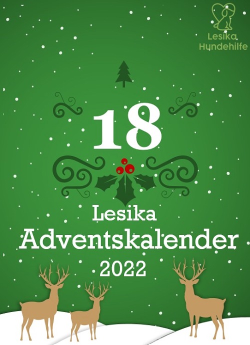 lesika_e's tweet photo. Welcher süße Welpe steckt hinter Türchen Nummer 18?

Auflösung um 10:00 Uhr ❤️🎄❤️🎄

https://t.co/HBwm9rP5lZ 

#LesikaHundehilfe #Tierrettung #christmas #Adventskalender #DogsofTwittter #dog #calender #puppy #welpen #AdoptDontShop #goodfeeling #spende #Donations https://t.co/kXUKoAi0Ch