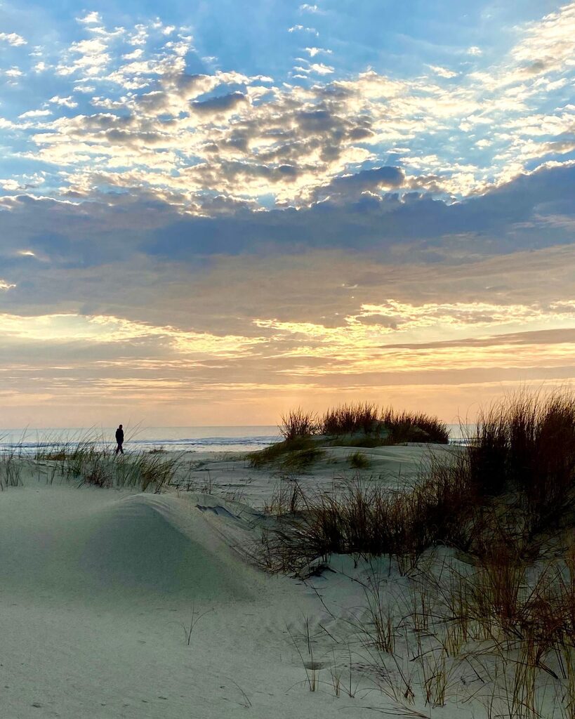 VisitTybee's tweet photo. Little Tybee is always worth the trip to enjoy a solitary walk on a stretch of pristine beach. #VisitTybee
.
.
.
#tybeeisland #tybee #tybeebeach #savannahsbeach #tybeeislandbeach #exploregeorgia #georgiacoast #coastalliving #mysouthernliving #sunset #marshviews #onthewater … https://t.co/17QCILkJlB