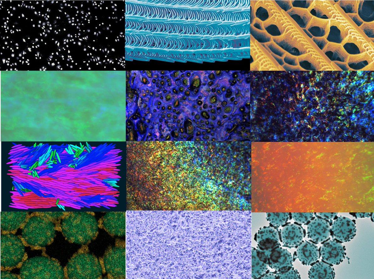 Dr Ahu Gumrah Dumanli-Parry (@ahugumrah) on Twitter photo We are producing the most colorful calendar of 2023- summarizing the wonderful research happening in the group and part of the new grant we received as a part of the <a href="/UoMCreativeMCR/">Creative Manchester</a> in collaboration with the <a href="/elifozden/">elif</a> and <a href="/RCA/">Royal College of Art</a>. Anyone want a copy? We are producing the most colorful calendar of 2023- summarizing the wonderful research happening in the group and part of the new grant we received as a part of the <a href="/UoMCreativeMCR/">Creative Manchester</a> in collaboration with the <a href="/elifozden/">elif</a> and <a href="/RCA/">Royal College of Art</a>. Anyone want a copy?