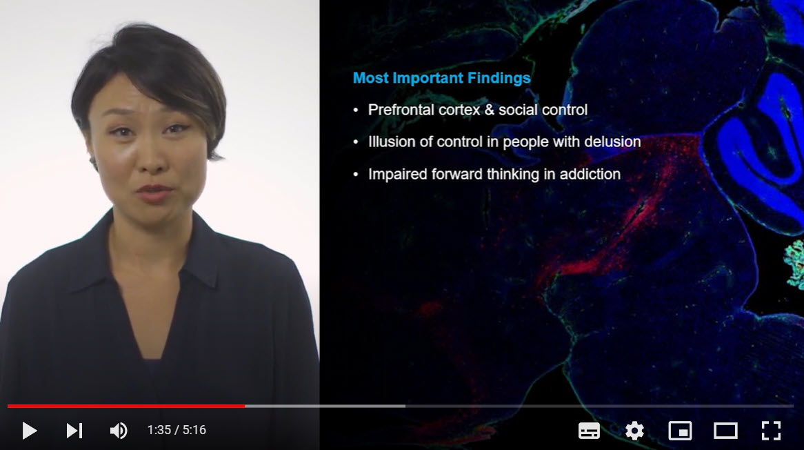 MountSinaiPsych's tweet photo. Next up in our research series: @xiaosigu (@sinaiCCP), examining the #neuralcomputations underlying human beliefs, decision-making, and #socialbehavior in healthy people and across psychiatric disorders.
Hear about recent findings + future directions: https://t.co/AvZXw49IfL https://t.co/qfsbU9iICm