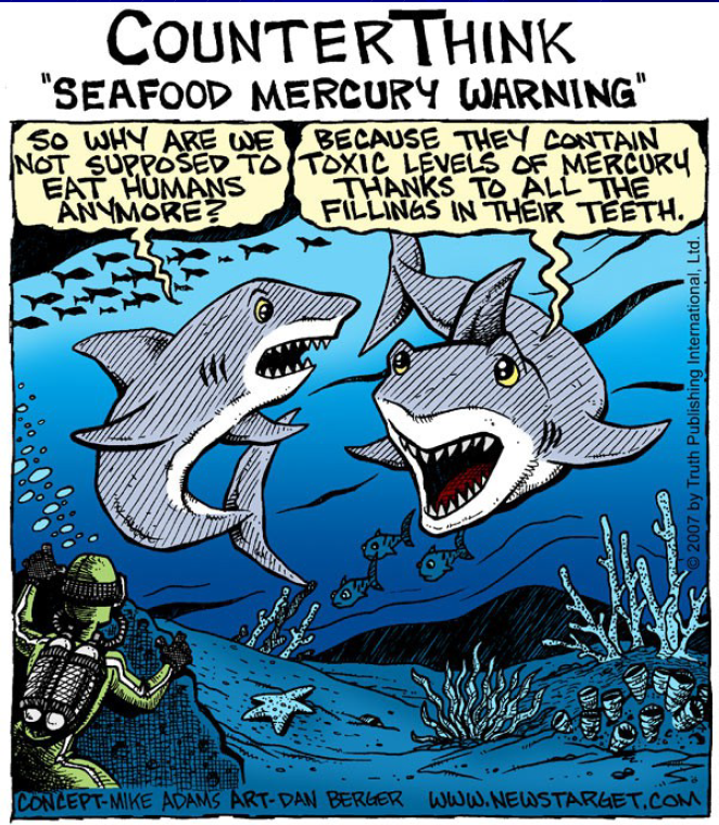 EnvMedNetwork's tweet photo. ‼️Seafood Mercury Warning‼️

😂😂😂

🦷 #MakeDentalAmalgamHistory 🦷 

@minamataMEA @TimmermansEU @VSinkevicius @SKyriakidesEU  @veromanfrve @benoit_varenne @MicheleRivasi @JuttaPaulusRLP @SteffiLemke @bhoffmann_mdb @Karl_Lauterbach https://t.co/yOnssffbnS