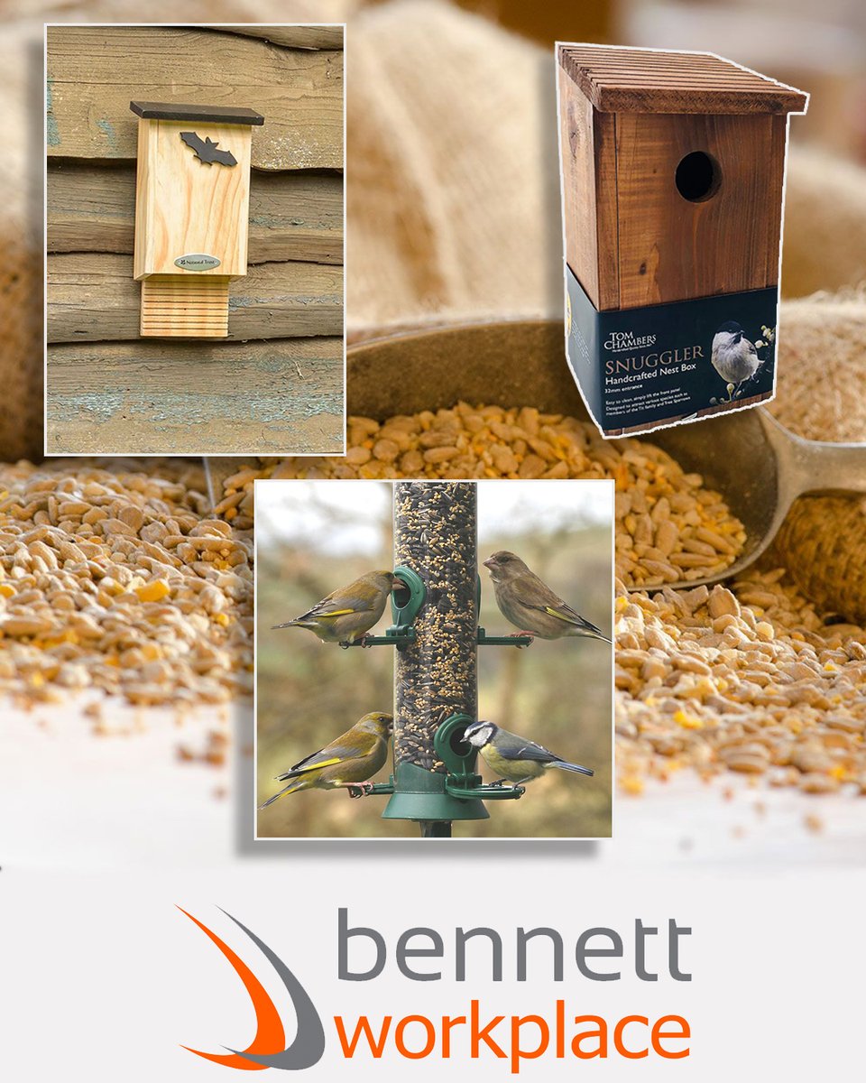 Bennett Workplace tweet media