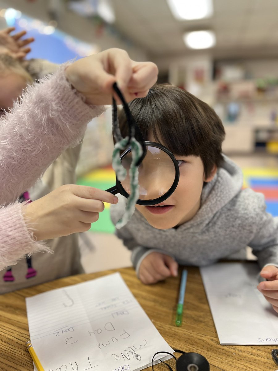 We are scientists. We are critical thinkers. We are grade 1/2 life long learners! #sccdsb