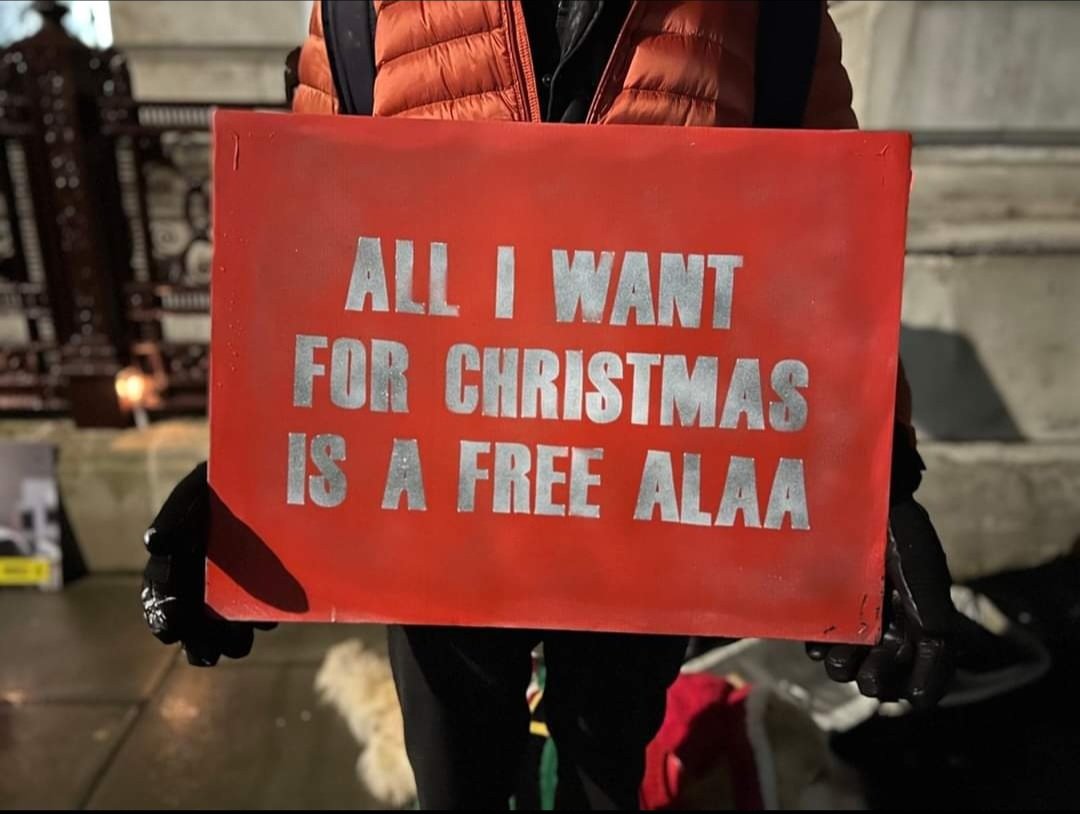 TUTTO VOGLIO PER NATALE È FREE ALAA #FreeAlaa