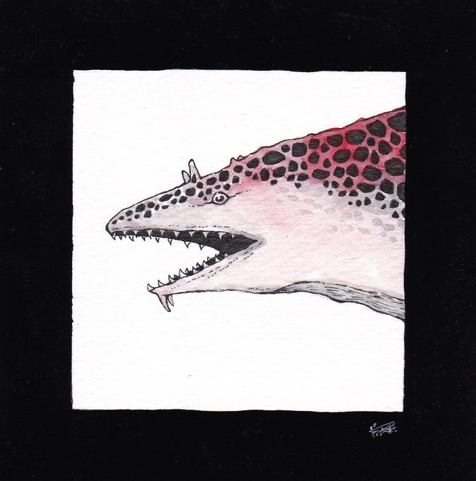「border shark」 illustration images(Latest)
