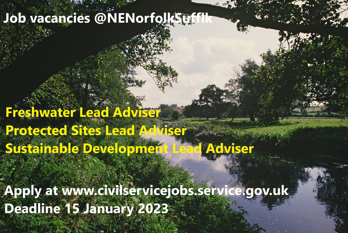 ⭐️#JobAlert ⭐️
Do you have a passion for #nature 
&amp; the #environment? We have three exciting opportunities to play a key role in delivering Nature Recovery in #Norfolk &amp; #Suffolk.
Find out more &amp; apply 👇
civilservicejobs.service.gov.uk/csr/index.cgi?…
