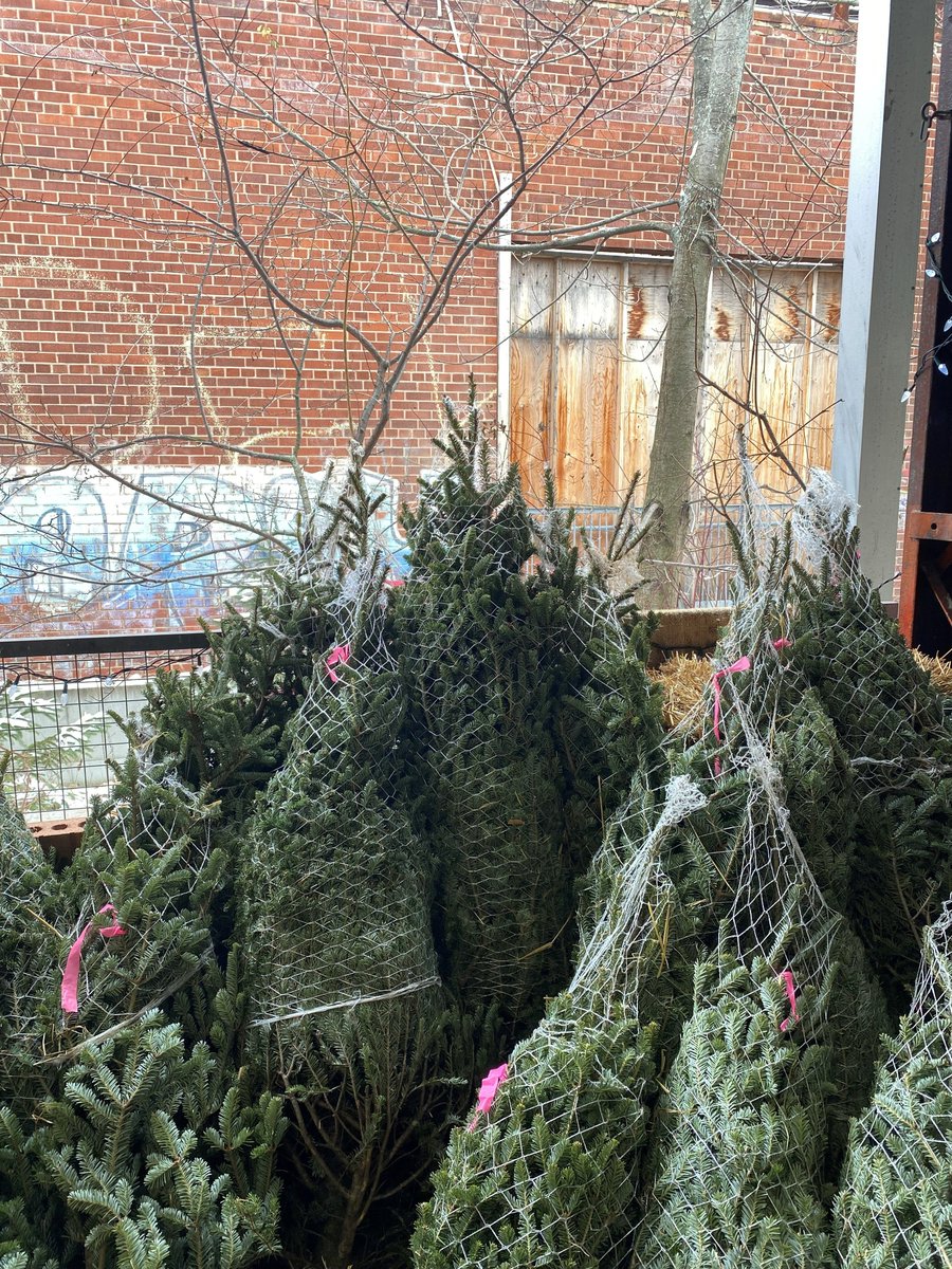 We still have Christmas trees for sale at the Garden Market! Here's when we're open - evergreen.ca/evergreen-bric…