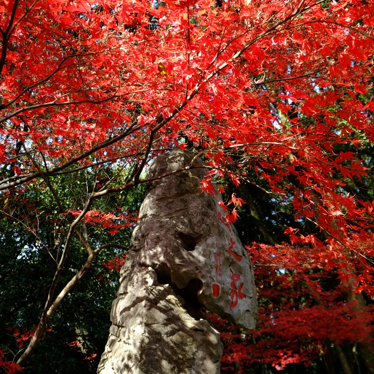 dyson (@superstringsdys) on Twitter photo 