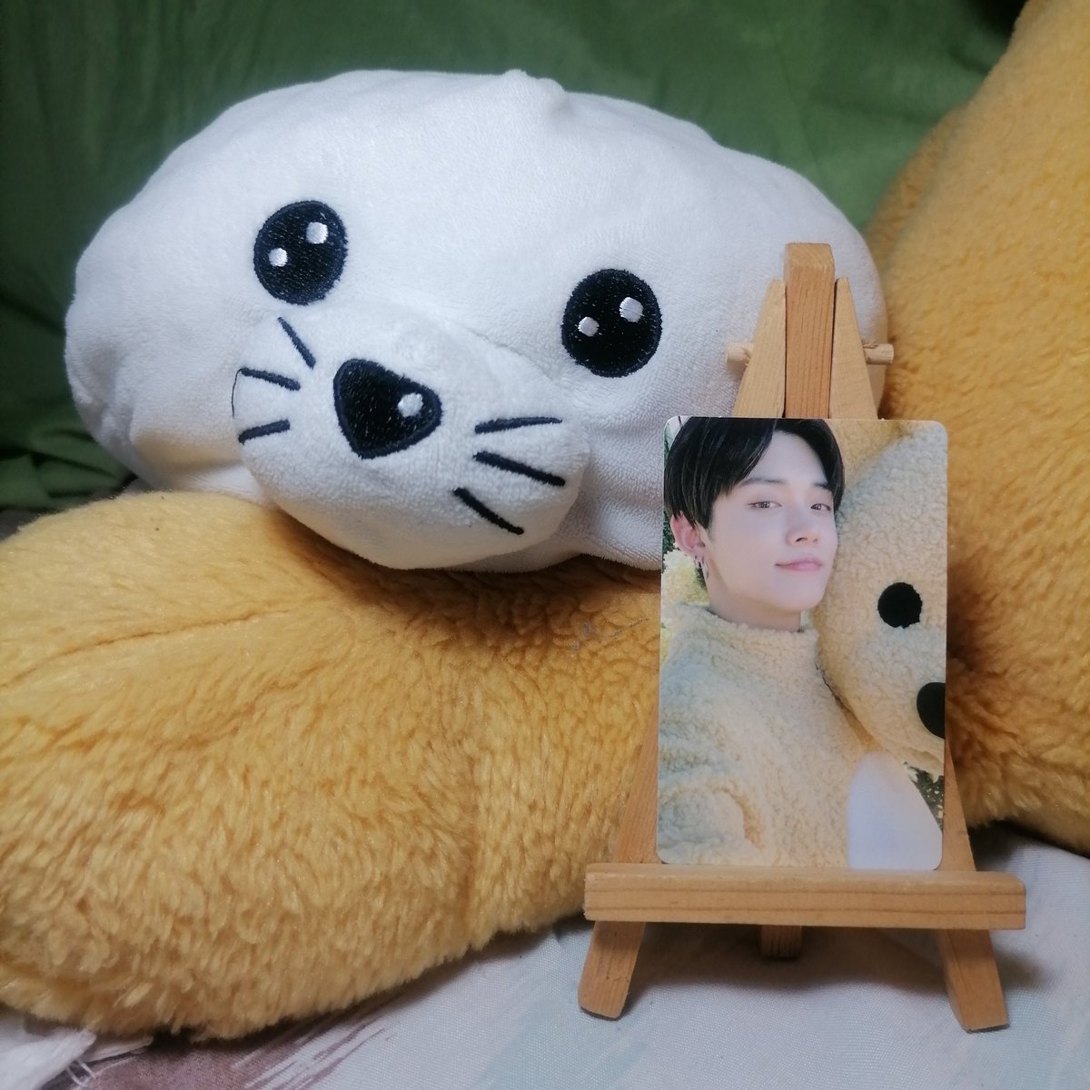 yjaeux's tweet photo. ⋆୨ ꒰ ( #yjaeux_sells ) ꒱ ୧˚
 -`, ꒰ wts I lfb I ph ꒱
  ⛲ yeonjun teddy

 🎋 ₱2000 ꒰ + pf &amp; sf ꒱
 ✴︎ everything in the right pic is free! 
  ꕤ gcash, sco thru j&amp;t
   ⸙ rMbyt, mint, onhand

 ᵕ̈ txt tomorrow by together choi deco kit rpc pc photocard red want to sell yj https://t.co/y83d3enKBb