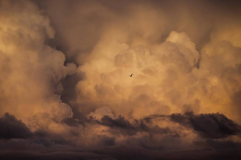SeafieldStreet's tweet image. Cloudy (with bird)
12.12.22

#viewfromawindow #whitehills #scotland #aberdeenshire #winter #sky #sunset #clouds #cloudphotography #cloudlovers #leica #leicacamera #sharemysigma #sigmaonelens #sigma150600 #sigma150600dgdn #sigmadgdn #sigmasport #sigmaart … instagr.am/p/CmMQBEfIxtj/