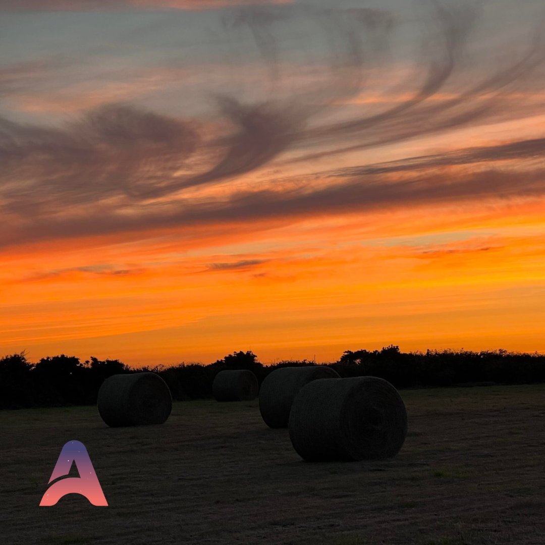 Lizard View camping joins the Anytime tribe! Just look at that sky. Burning bright. #anytimebooking #bookingprovider