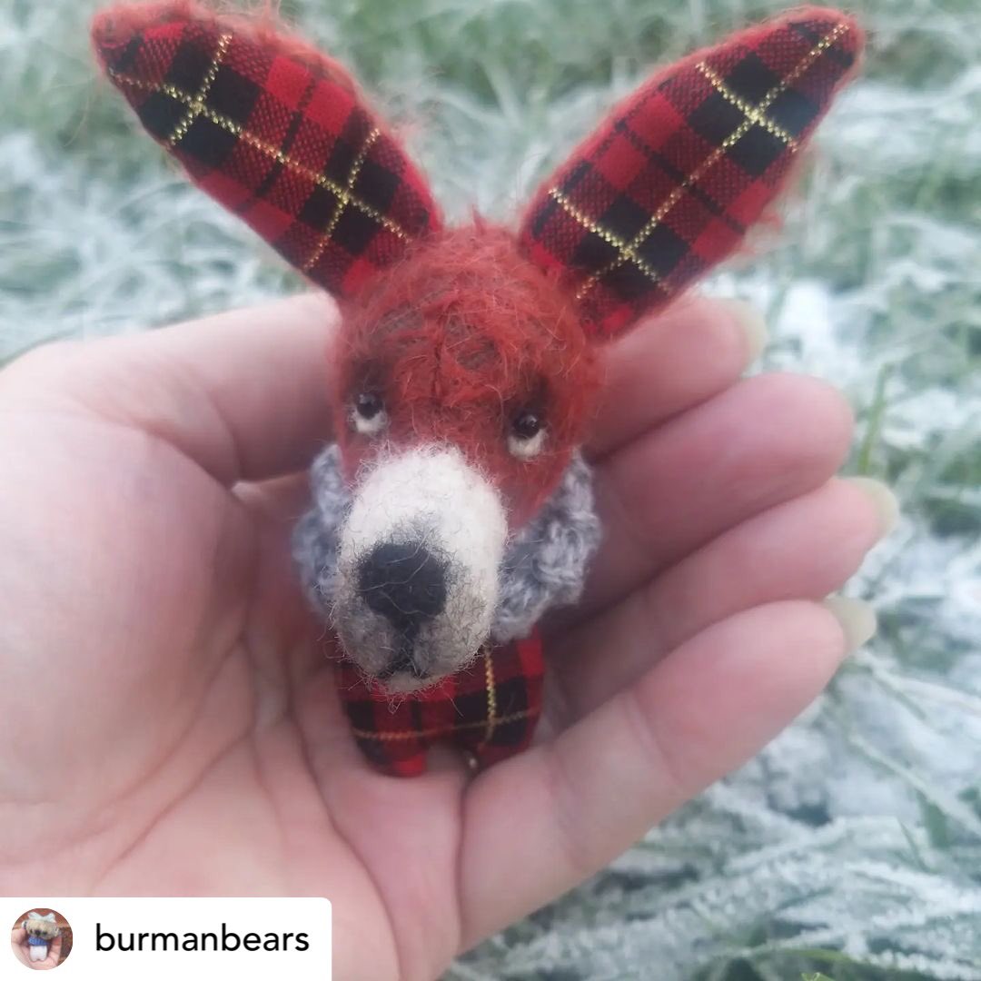 Burman Bears tweet media