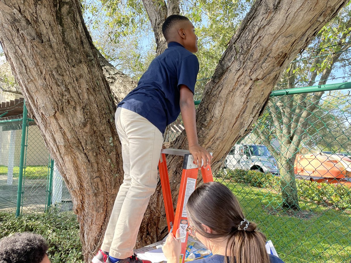 City of Riviera Beach, FL. (@rivierabch) on Twitter photo More than 30 fifth graders from Washington Elementary are in the Youth Empowerment Program at the Library in a session about plants. Today they planted Orchids in the trees & will monitor their growth. Some orchids are in danger of extinction. The kids are helping save them! More than 30 fifth graders from Washington Elementary are in the Youth Empowerment Program at the Library in a session about plants. Today they planted Orchids in the trees & will monitor their growth. Some orchids are in danger of extinction. The kids are helping save them!