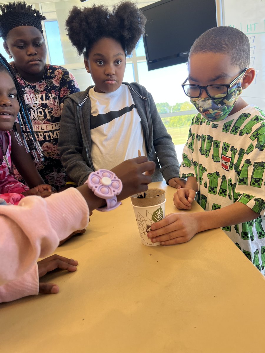 HillpointHusky's tweet photo. Mrs Orgills 4th grade class are also growing plants! #12daysofholidayfunandlearning
#HPLeadersofthePACK
#BuildingtheBestSPS https://t.co/DnoPq7xUm3