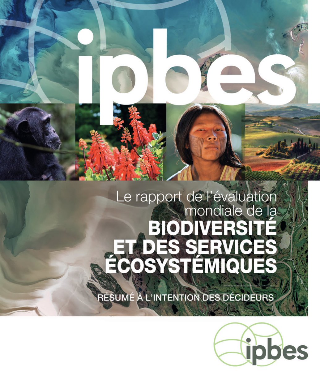 Dr. Olivier Marchand tweet media