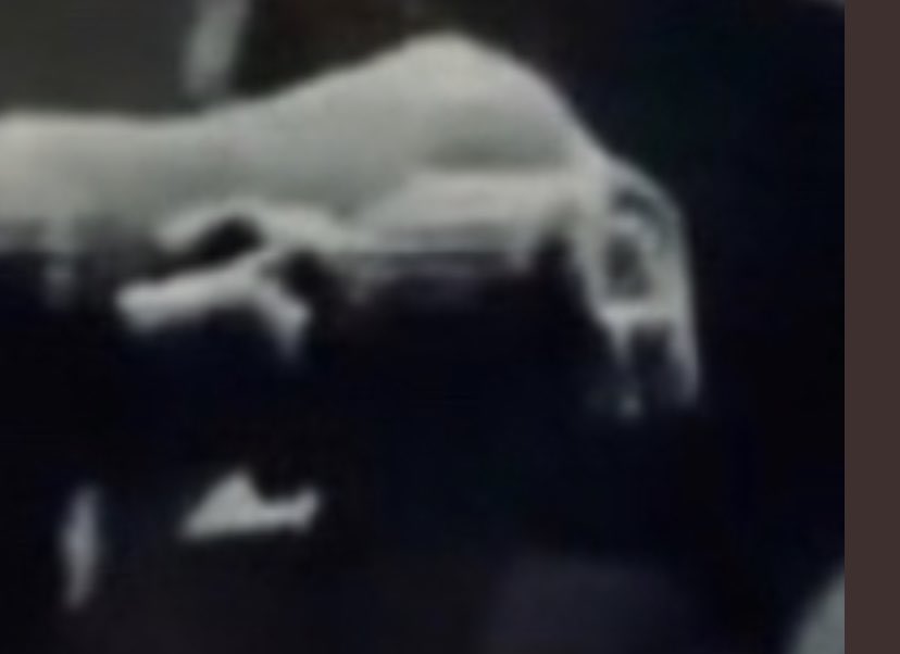 sigmabellwether's tweet photo. @edgardouy @TruthDefinesMe @elonmusk Because held gloves make perfectly symmetrical 1” holes. Looks like a barrel end to me. https://t.co/eUNINXr4XP