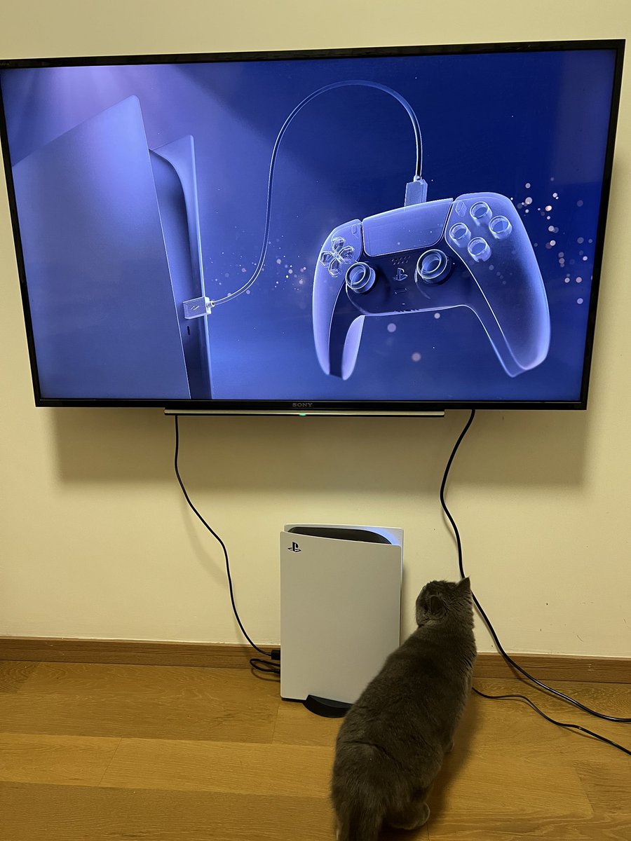 Zisu@Monako.ai tweet media
