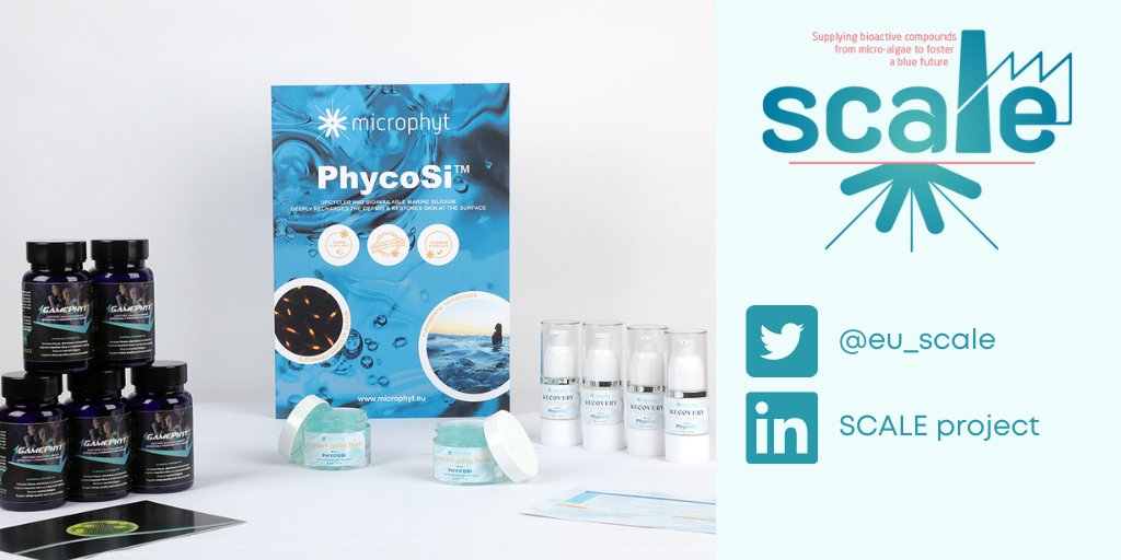 SCALE Project tweet media