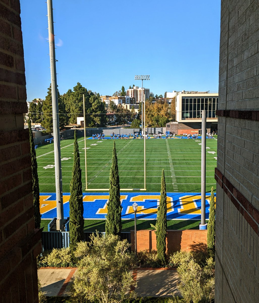 Zappasodi Lab tweet media