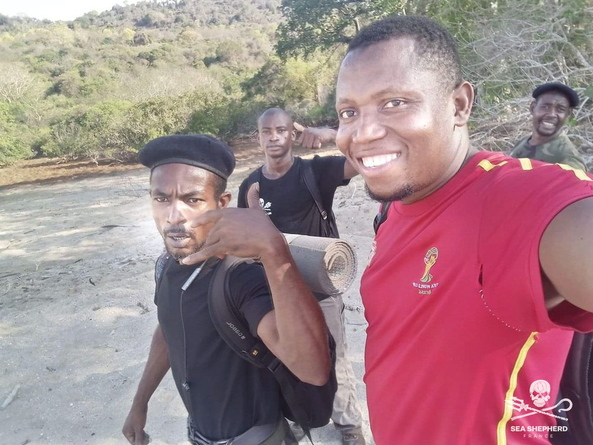 Sea Shepherd France tweet media