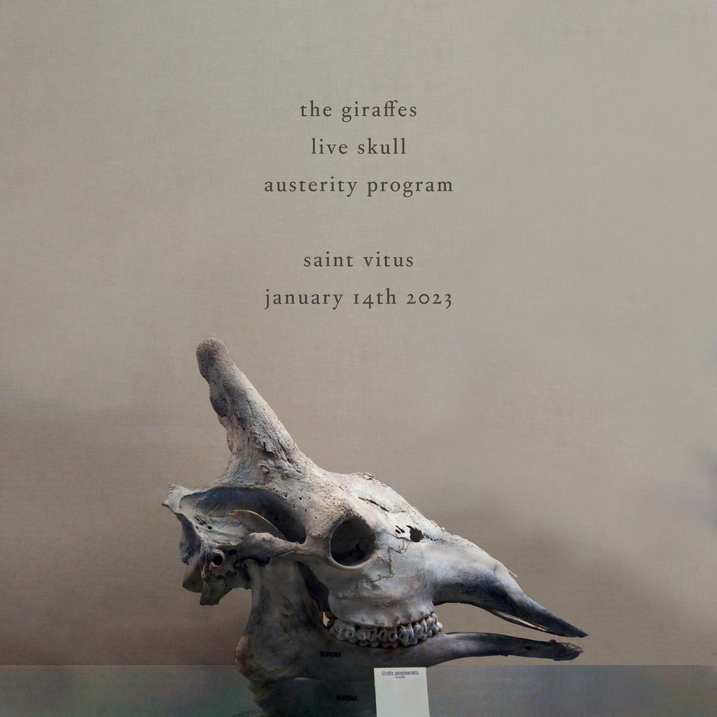 saintvitusbar's tweet image. Some of NYC&apos;s wildest acts come together for a guaranteed good  time on Jan 14: come through for @thegiraffes Live Skull, and @usterityprogram on sale now!

l8r.it/bUu9