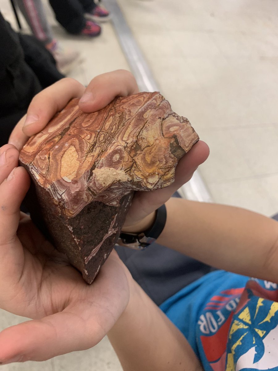 Just a small snapshot of all the amazing rocks and minerals our grade 4s got to observe and learn about today! Geology guest speakers really *ROCK* 😆 @CarletonHeights <a href="/OCDSB/">OCDSB</a>
