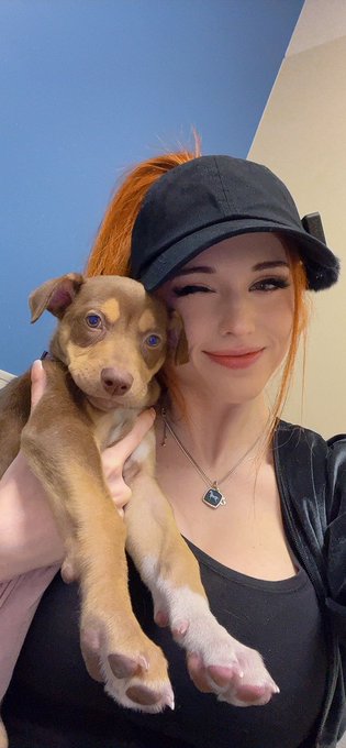 LIVE NOW - charity stream at an animal shelter! Come see the puppies 🥹🥰   https://t.co/3m87gRfK1B   🐾