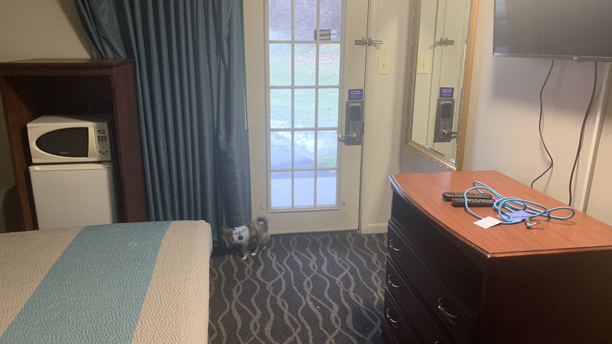 Jake Randall tweet media