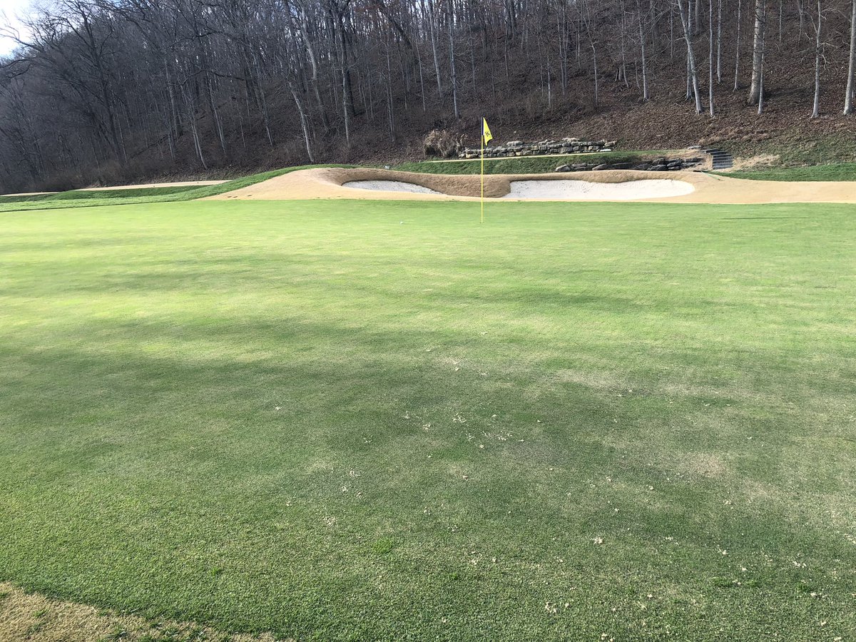 terrymeiners's tweet photo. When the critters throw a holiday party in the trap, it’s all a fella can do to save par. Slid it into the side for a 5. ⛳️🥳 @ValhallaGolf #hole2 #wintergolf #kentucky #animaltracks #sandsave https://t.co/Q0LWAOtalQ