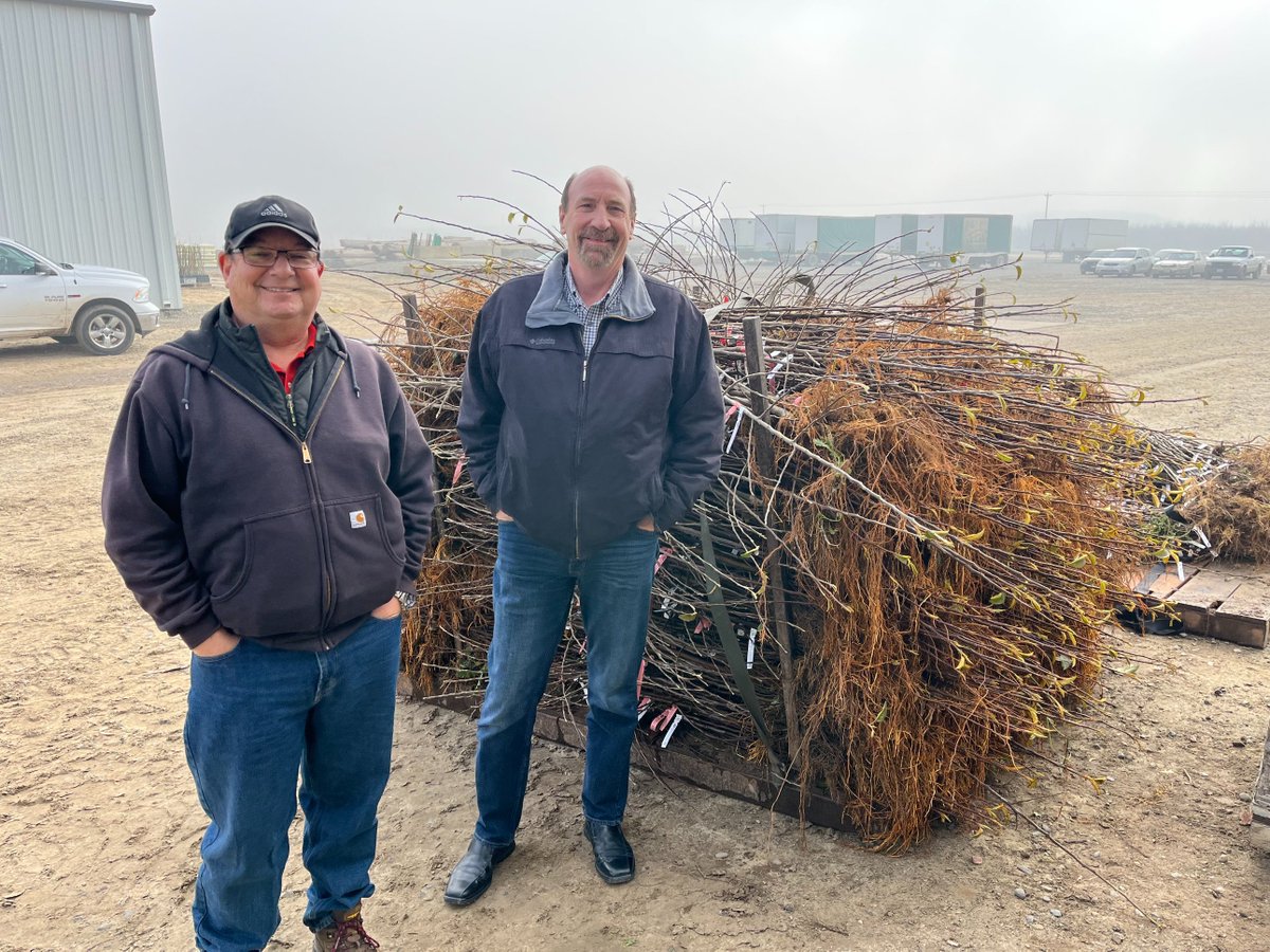 Master_Nursery's tweet photo. Jeff Lafferty and John Coulter spent the morning visiting Chris and Phil at MNGC Vendor Dave Wilson Nursery in Hickman, California.  This nursery is a huge supplier of bare root trees for MNGC Members.  @DaveWilsonNSY https://t.co/uRj73POui5 #BareRootTrees https://t.co/GoIoPsQ5DW