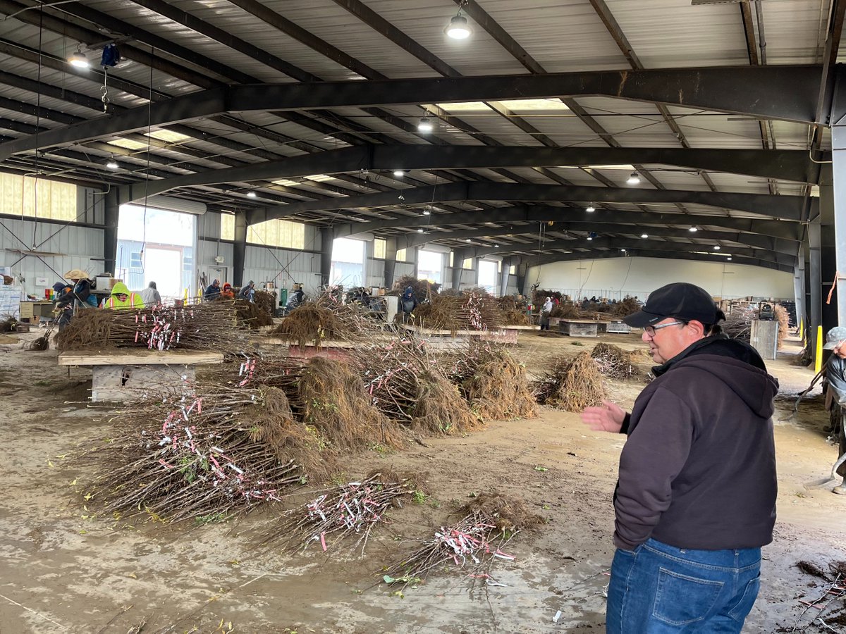 Master_Nursery's tweet photo. Jeff Lafferty and John Coulter spent the morning visiting Chris and Phil at MNGC Vendor Dave Wilson Nursery in Hickman, California.  This nursery is a huge supplier of bare root trees for MNGC Members.  @DaveWilsonNSY https://t.co/uRj73POui5 #BareRootTrees https://t.co/GoIoPsQ5DW