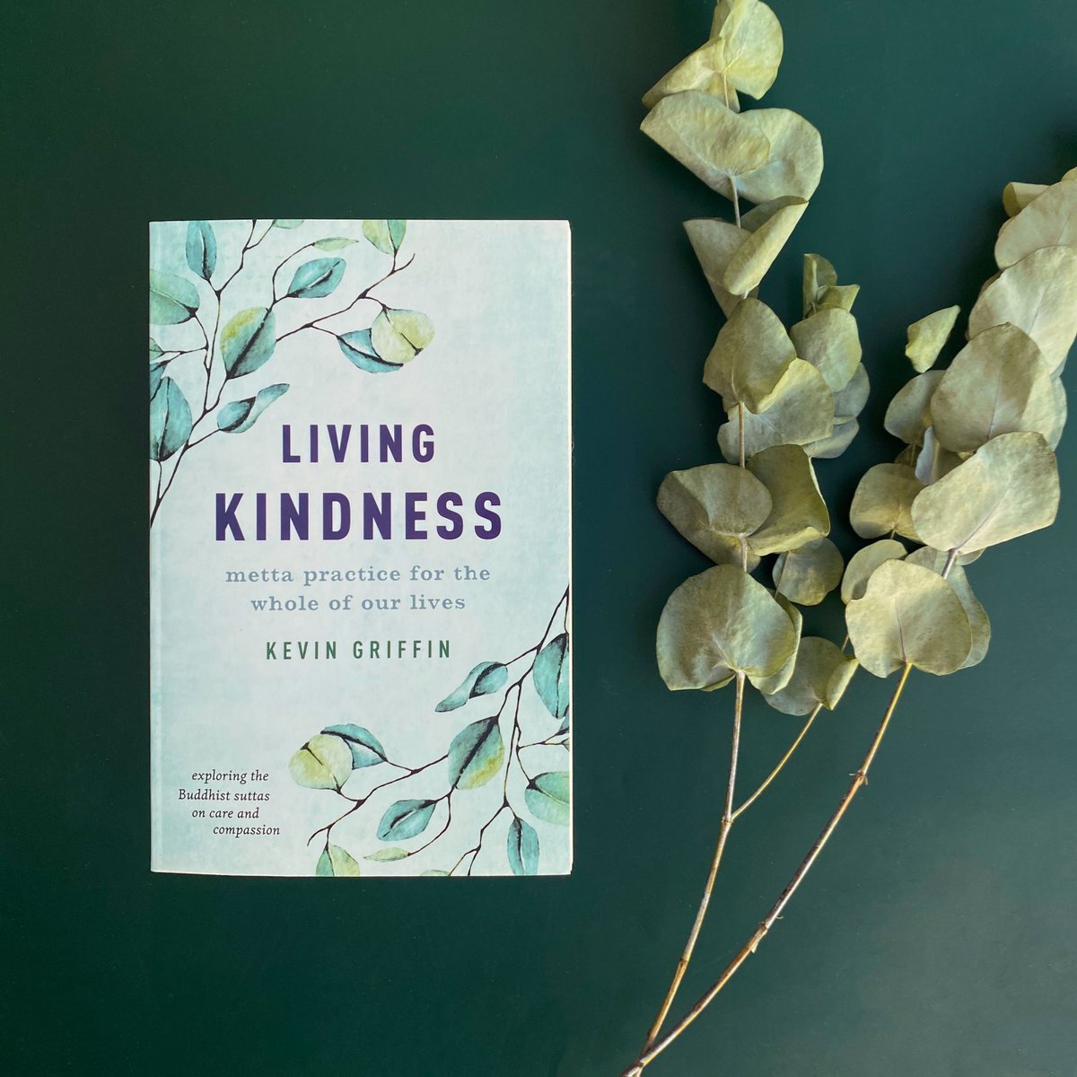 Shambhala Publications tweet media