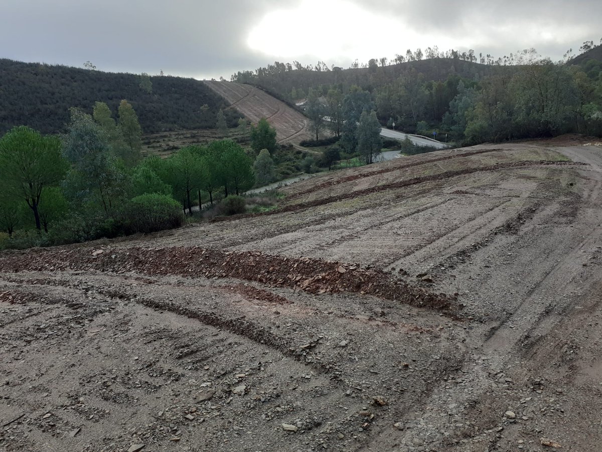 EMIF_IIFF's tweet photo. Curso de maquinaria pesada en extinción y prevención #IIFF en Valverde del Camino con @EMIF_IIFF para l@s #TEX del dispositivo @Plan_INFOCA y l@s @AAMM_And, los trabajos de  #PrevenciónIIFF también son  importantes: cortafuegos, accesos puntos de agua, ... . 🎥@cutisa https://t.co/XIlrjlHQAp