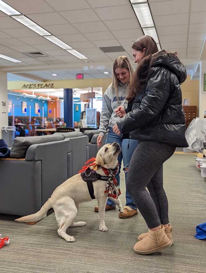macphaidin_lib's tweet image. Thank you to all who participated in our
#5DaysOfFinals events - including our movie trivia
winner Jack Whelan! Swipe to see pics from
Wednesday&apos;s #PetTherapy with Henry and Lola.

Have a great winter break!

#MacphaidinLibrary #StonehillLibrary
#EndOfTheSemester #FinalsAreOver