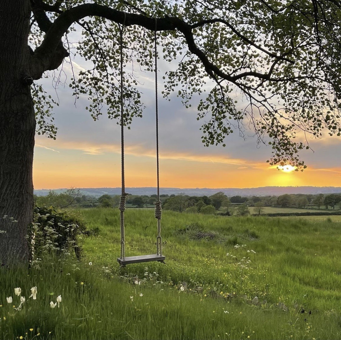 softdeIicacy's tweet photo. solitude and nature. https://t.co/haylY2aFIO