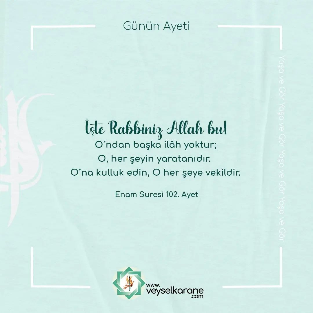 Onlaynda oq bilan porno paypoq qilish