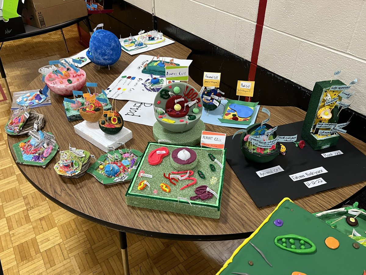 MNPSDuPontTyler's tweet photo. 7th Grade Science Projects to close out the semester #BeEPIC #LeadWithVALOR @conley4kids https://t.co/6II9oJIG00
