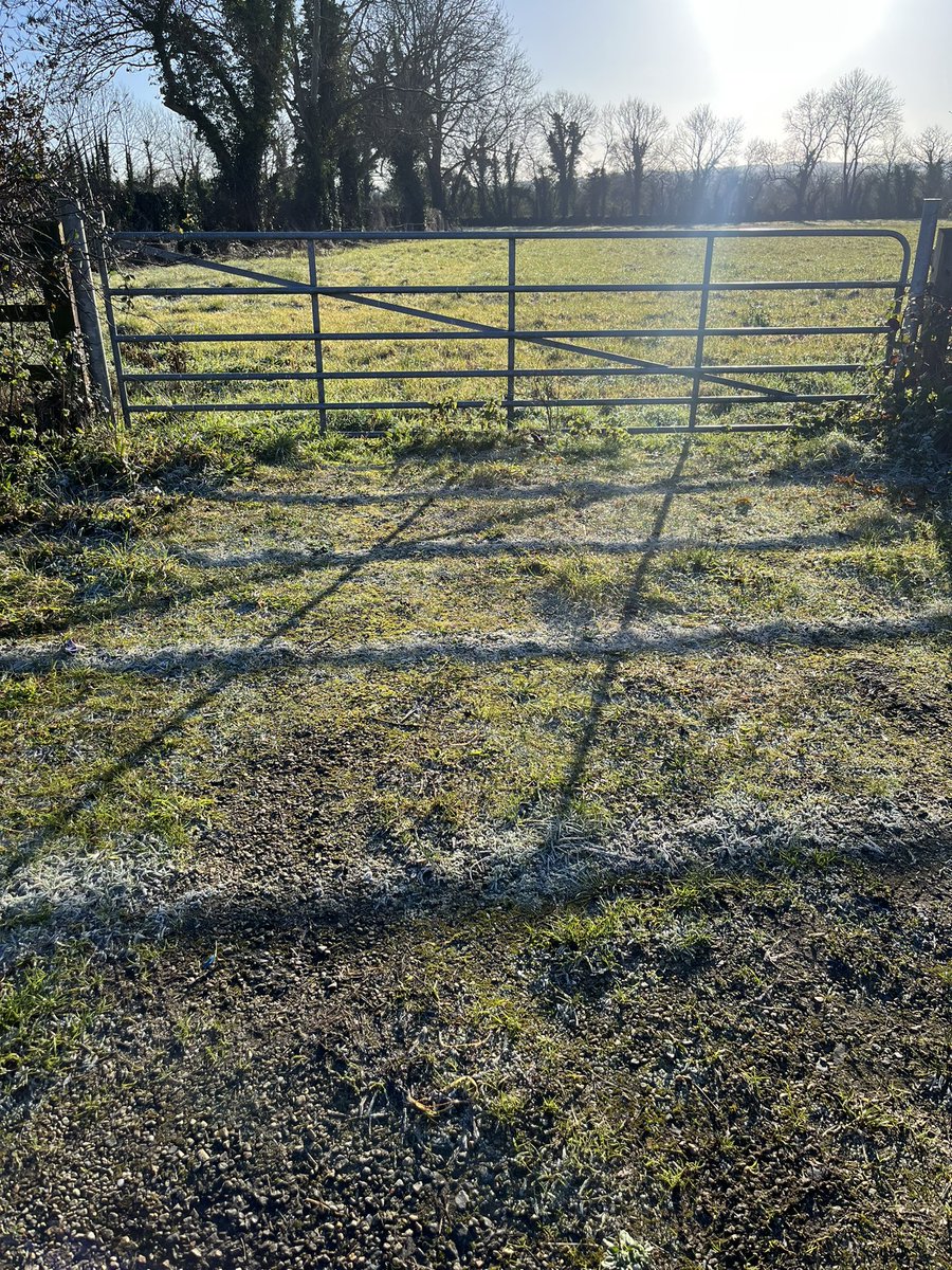Frost hiding in the shadows