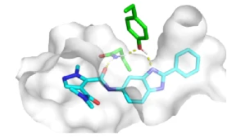 BindingDb's tweet photo. We recently curated one of the most generous ever binding datasets, 10.1007/s10822-022-00478-x, a lovely contribution from Roche and CCDC. Affinities for 1162 PDE10A inhibitors and xtal structures for 77 of them. 

Download the data as SDfile or TSV here: https://t.co/LA7jZ43Y4R https://t.co/g5ZnOOZVkx