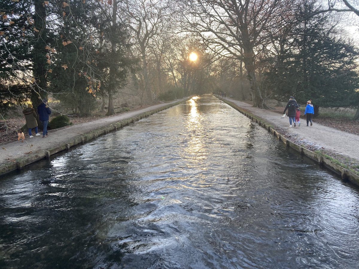 Linden Baxter tweet media