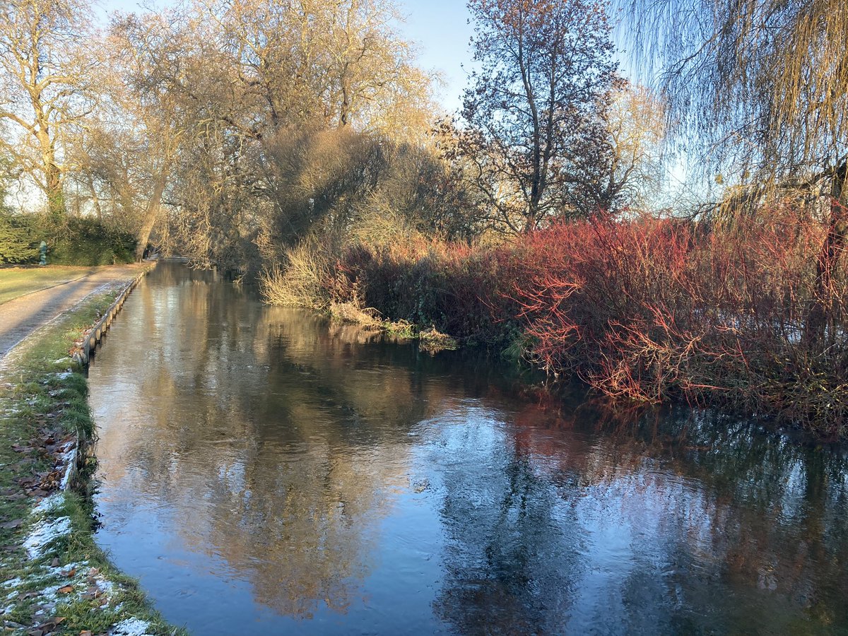 Linden Baxter tweet media