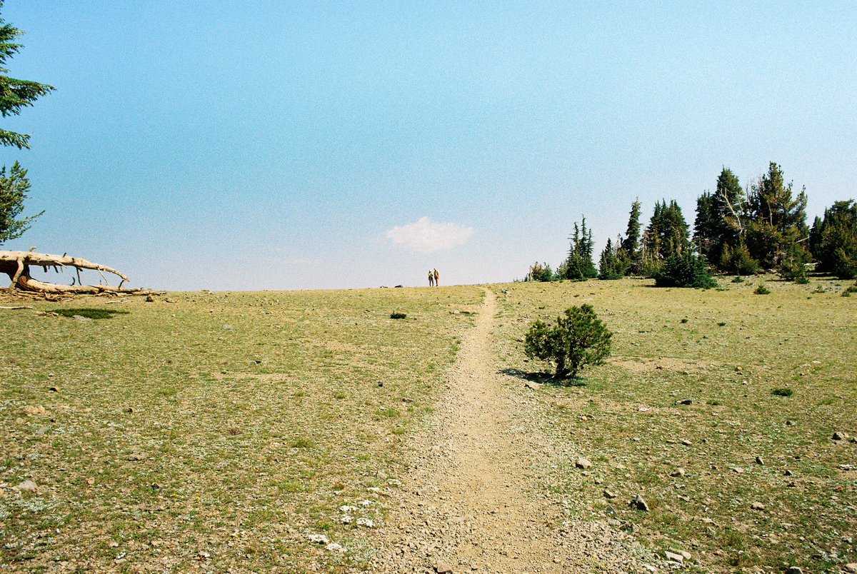 ryanadrift's tweet image. desolation wilderness⛰️🎞️