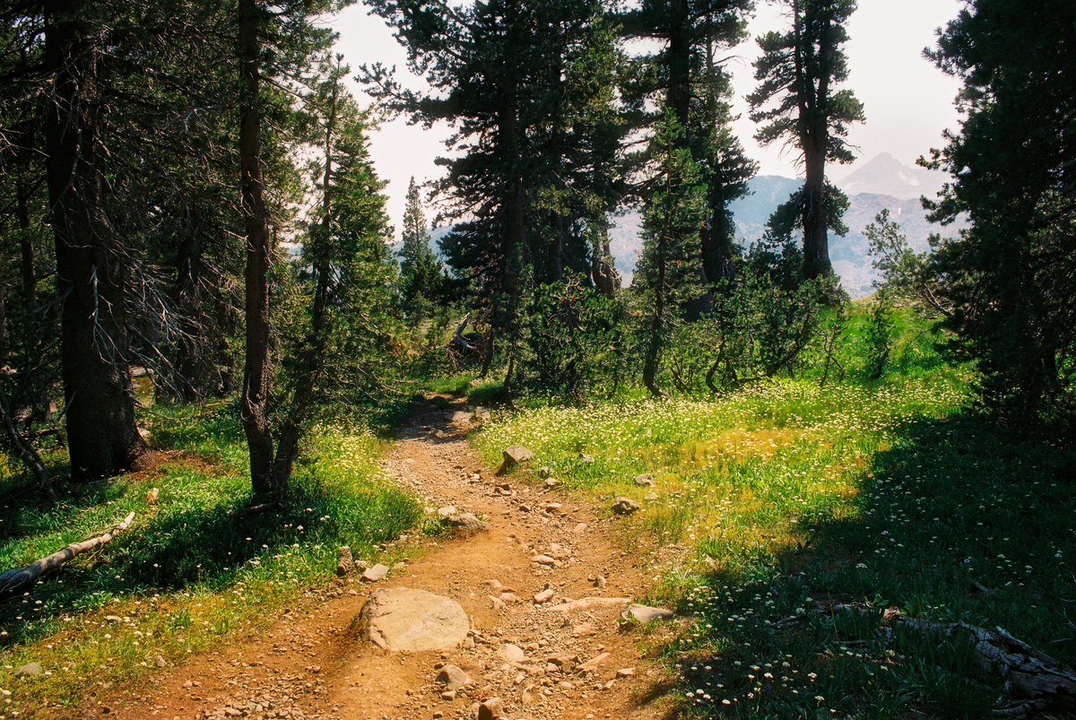 ryanadrift's tweet image. desolation wilderness⛰️🎞️