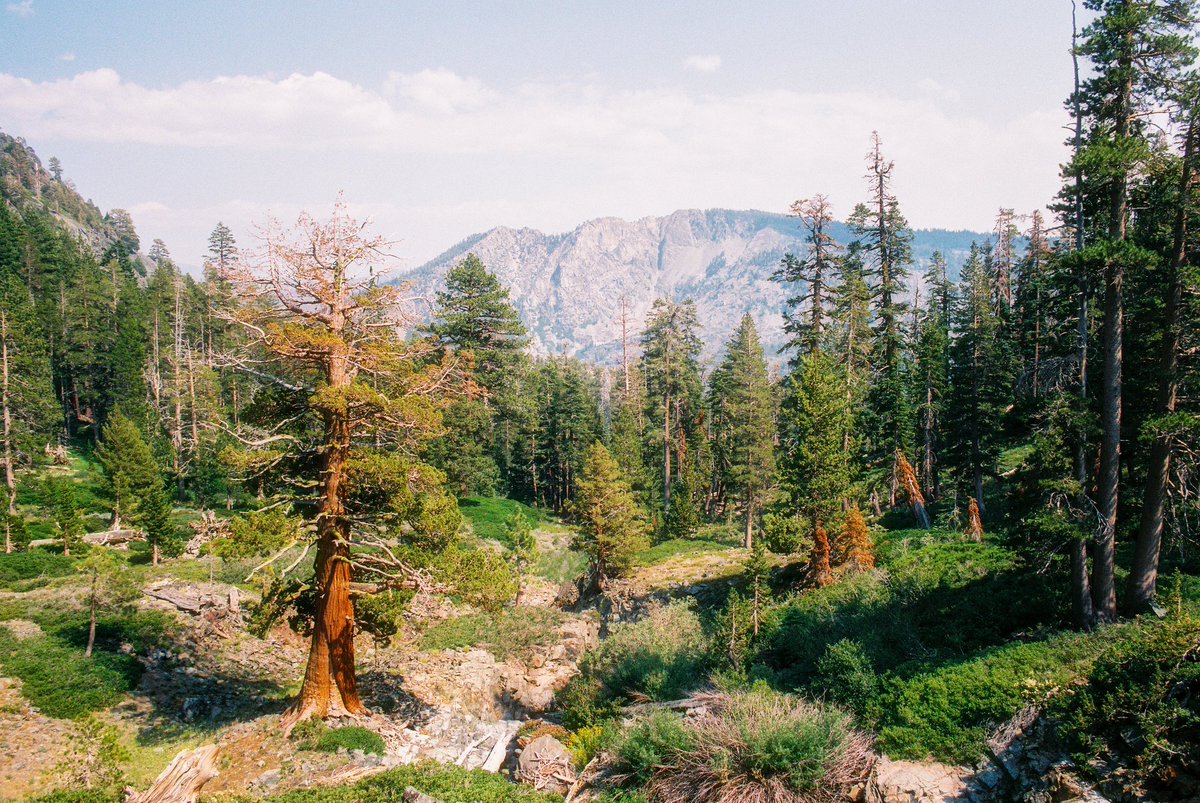 ryanadrift's tweet image. desolation wilderness⛰️🎞️