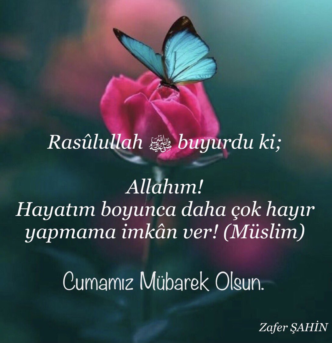 HADİS
#PeygamberimizinSözü 

<a href="/omerarvas/">Ömer Arvas</a>
<a href="/zafersahin571/">Zafer Şahin</a>
<a href="/figennil/">Nil777⭐️11.22.33.44</a>
<a href="/RizaAts/">Rıza ATEŞ🇹🇷</a>
<a href="/Berzah77/">🔆 Berzah 🔆🇹🇷🇹🇷🇹🇷</a>
<a href="/AVurganer/">@Nurbanu_Sultan1453</a>
<a href="/UskupluR/">ÜSKÜPLÜ REMZİ</a>
@RtGulcan 
<a href="/cigdem1104/">Çiğdem XY</a>
<a href="/ilmihalin/">İslam İlmihali</a> 
@TurgayGrgn6
<a href="/SugayipH/">Şugayip Haliloğlu</a>
<a href="/AslMelis12/">Aslı Melis</a>
<a href="/Meltem1ben/">Meltem🍃🍃</a>
<a href="/aliriza55_/">ALI RİZA</a> 
<a href="/RifatZER4/">Rifat ÖZER</a>
<a href="/Avicenna_Razi/">0LİVİA 🇹🇷🍉</a>
@SeyithanRazi
<a href="/geylani16/">Seyyid Abdulgafur GEYLANİ</a>
<a href="/GonulMazi/">Gönül Mazi</a>
@2023_37